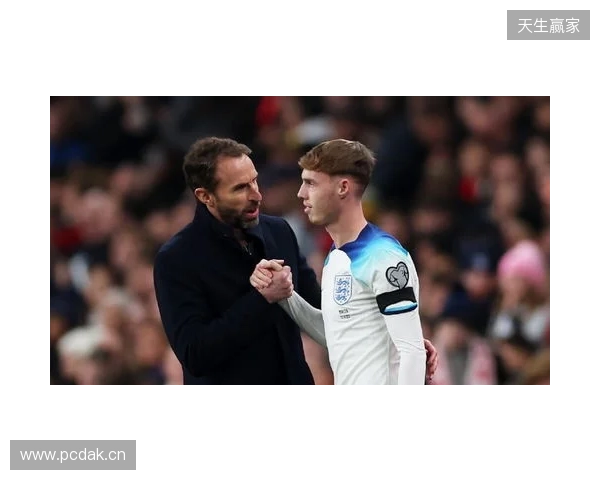 图赫尔谈10号位:一阶段考察帕尔默&福登;二阶段贝林&罗杰斯